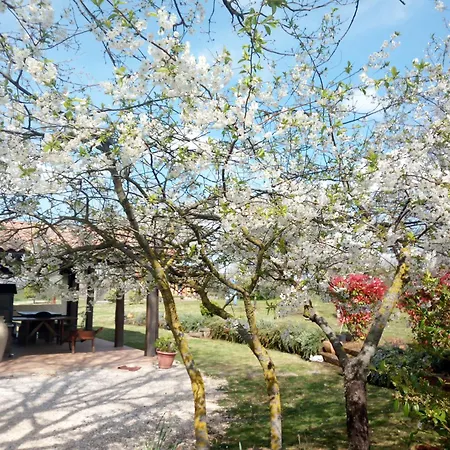 La Fratta Guest house